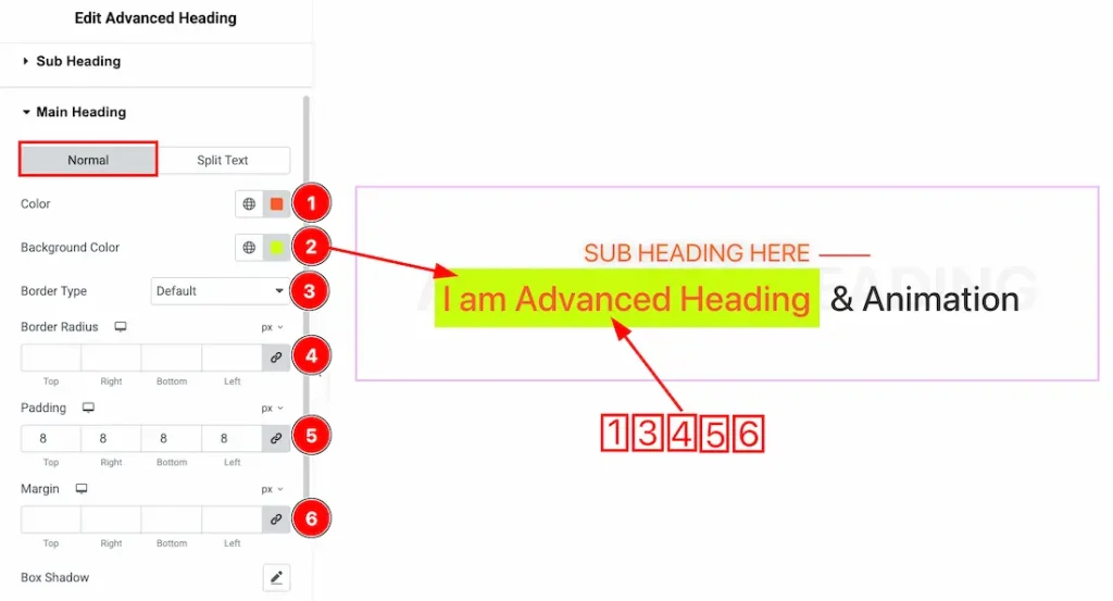 Main Heading Section