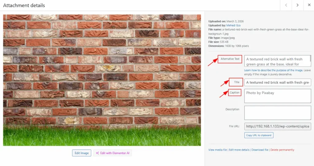 Preview of General 02 - BdThemes