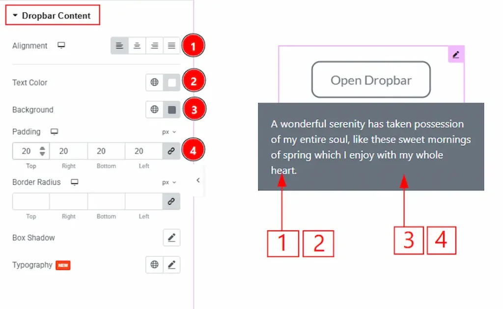 Dropbar Content Section