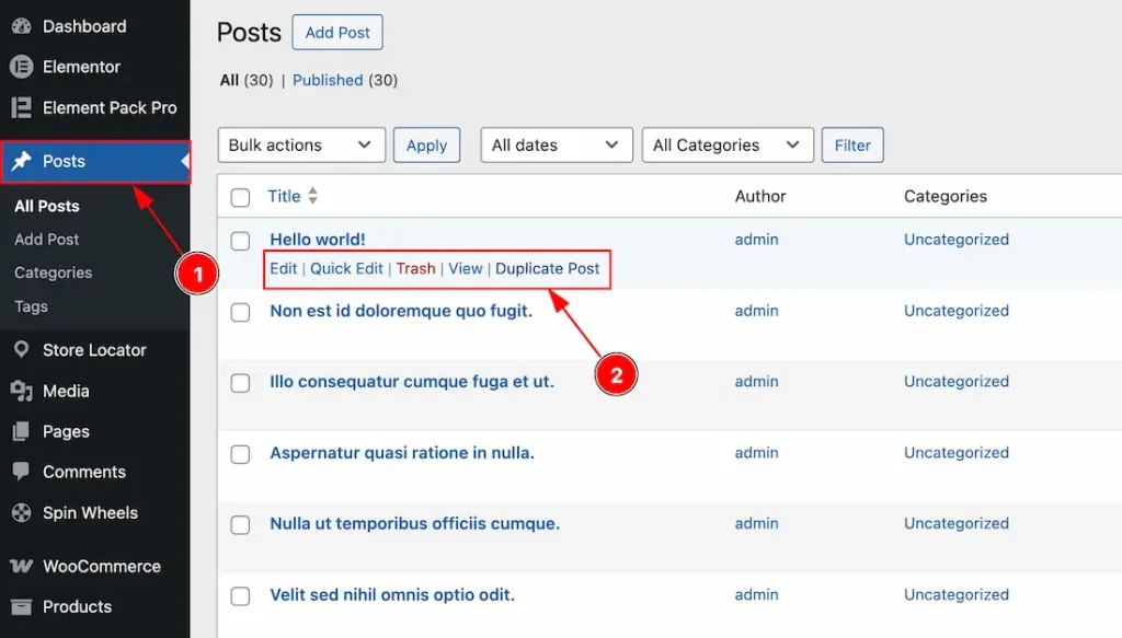 Visual preview of the Posts Tab