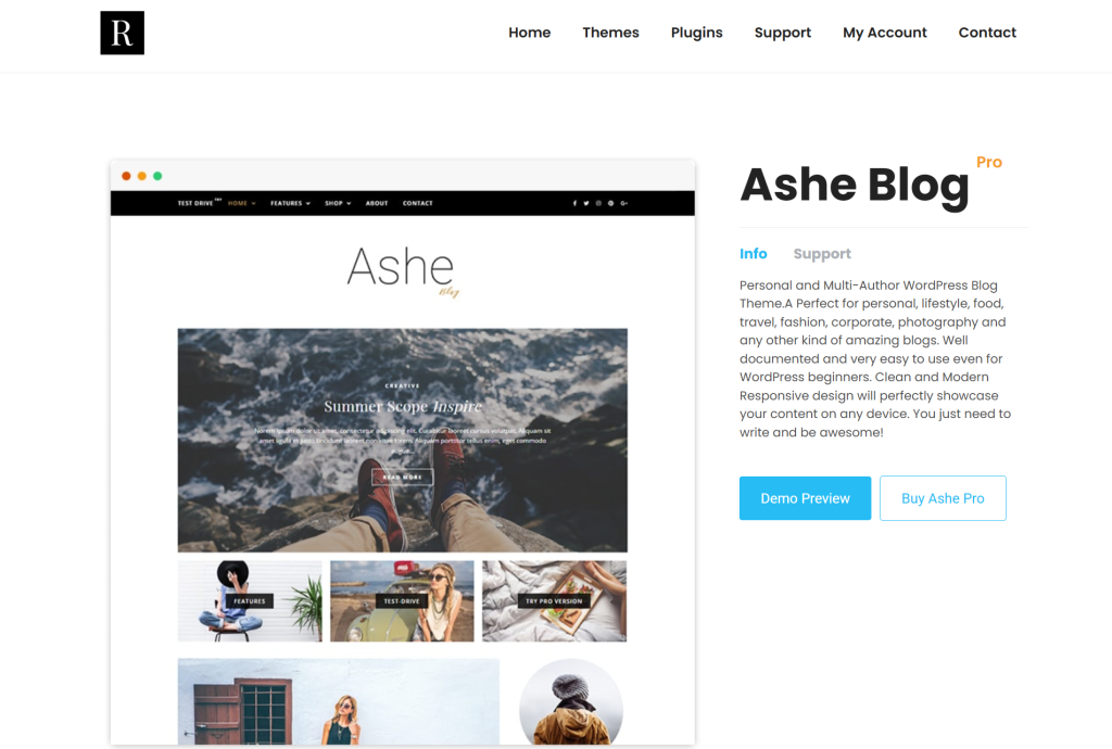 Ashe - Best WordPress Themes for Blogs