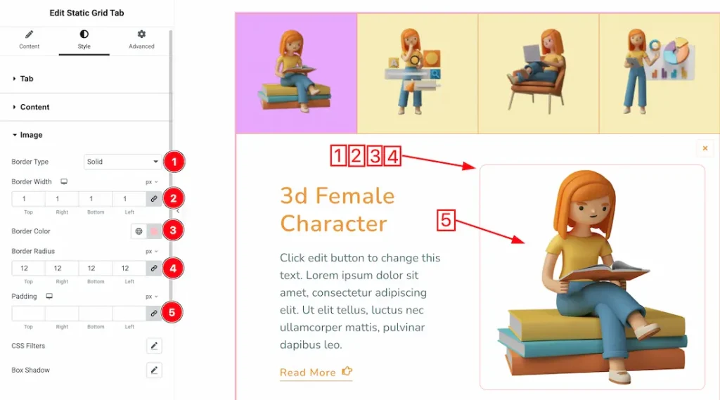 Image Section