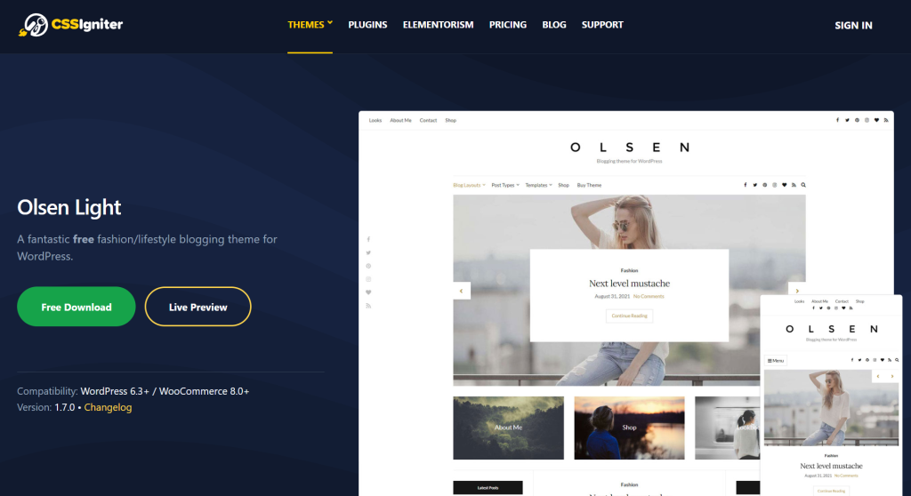 Olsen - Best WordPress Themes for Blogs