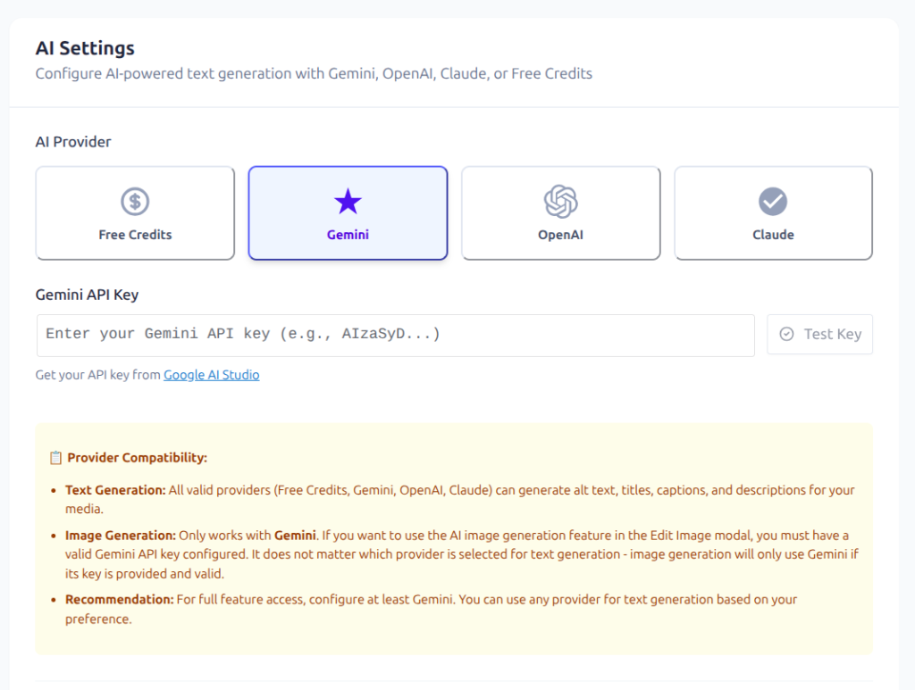 connecting your Google Gemini API key in the plugin settings