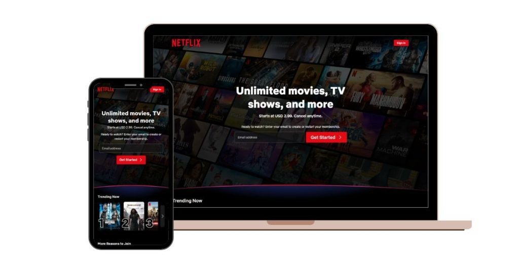 Netflix: Simple Hero Section