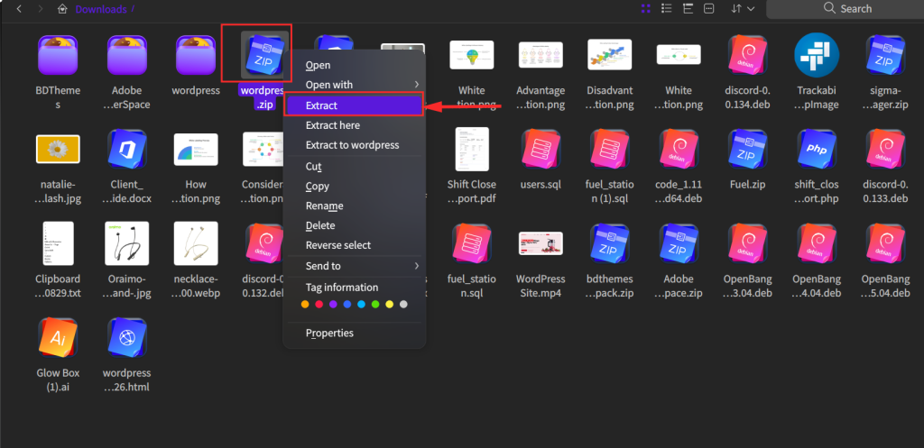 Extracting Media Files From a Full Backup