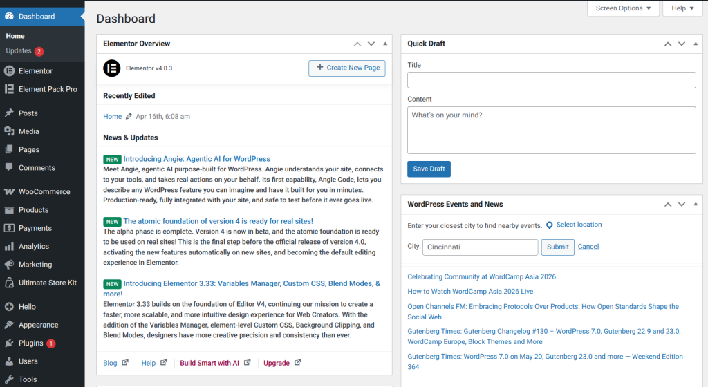 Log in to your WordPress Dashboard