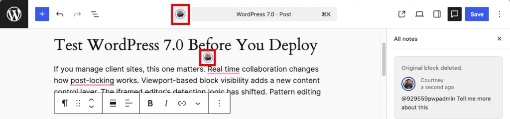 WordPress post editing interface screenshot