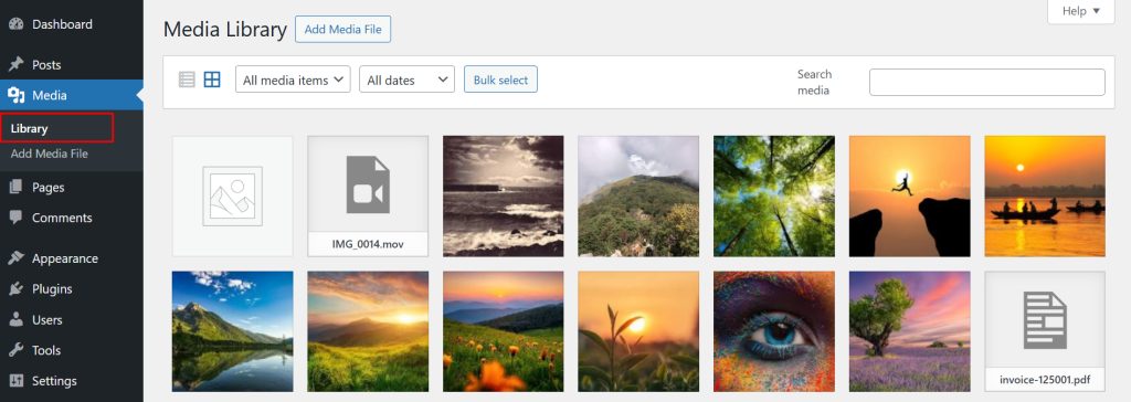 Media library interface with images