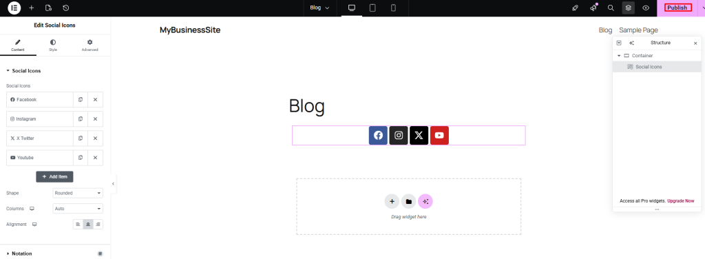 Publish page