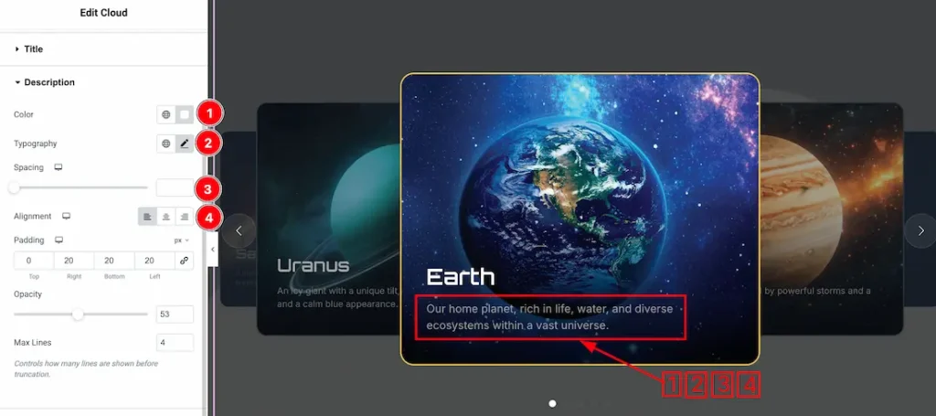 Description Section