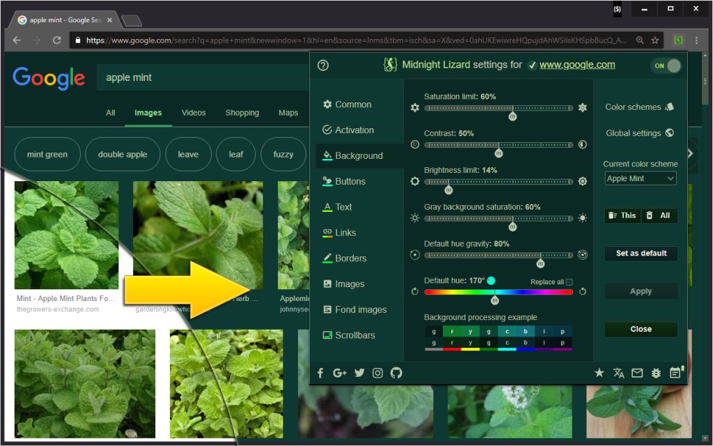 Google image search for apple mint
