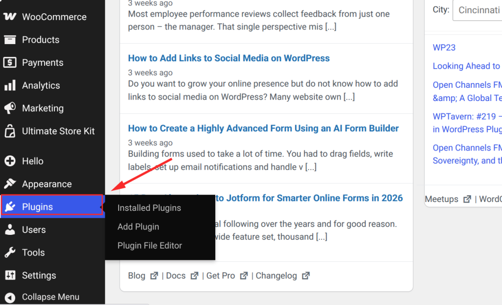 WordPress dashboard with plugin options
